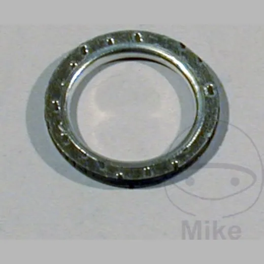 Exhaust gasket S410210012021