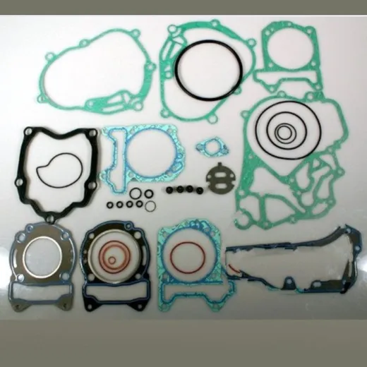 Complete gasket / seal kit P400480850128