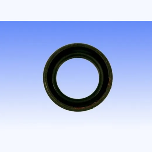 Oil seal 18x12x5mm