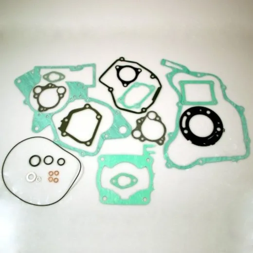 Complete gasket / seal kit P400210850126