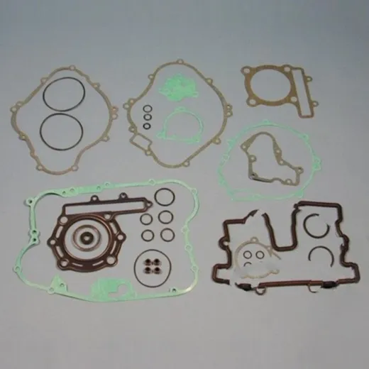 Complete gasket / seal kit P400250850253