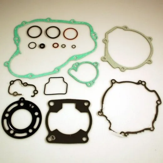 Complete gasket / seal kit P400250850089