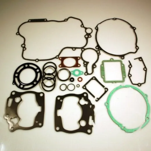Complete gasket / seal kit P400250850009