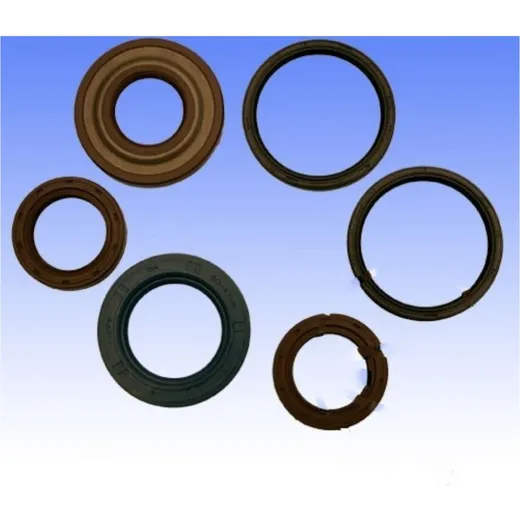 Engine oil seal kit P400480400186