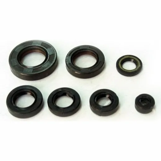 Engine oil seal kit OSL101