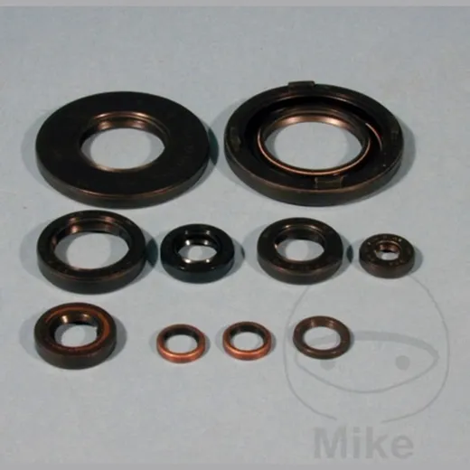 Engine oil seal kit OSL210