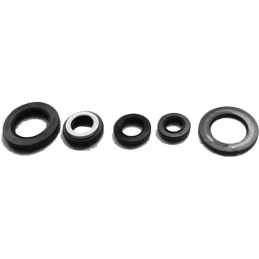 Engine oil seal kit OSL224