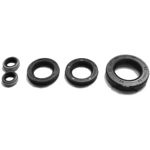 Engine oil seal kit OSL423R