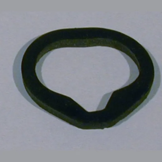 O-Ring Nockenwelle Athena