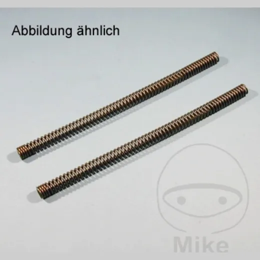 Fork springs 3010