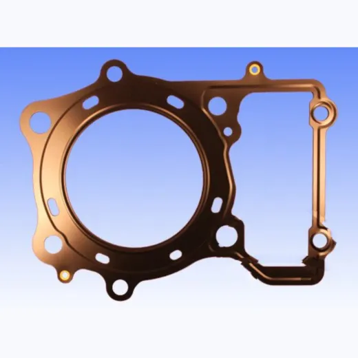Cylinder head gasket rear cyl
