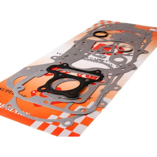 Complete gasket / seal kit BT36001
