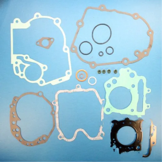 Complete gasket / seal kit P400420850014