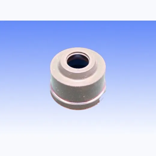 Valve stem seal P400220420256