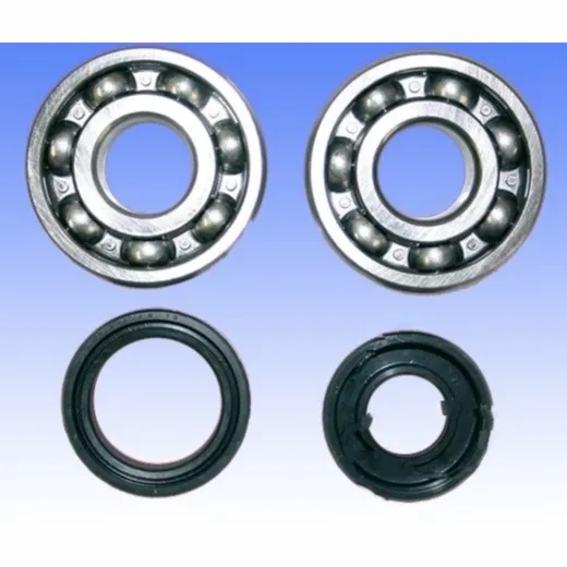 Crankshaft bearing kit P400250444001_1