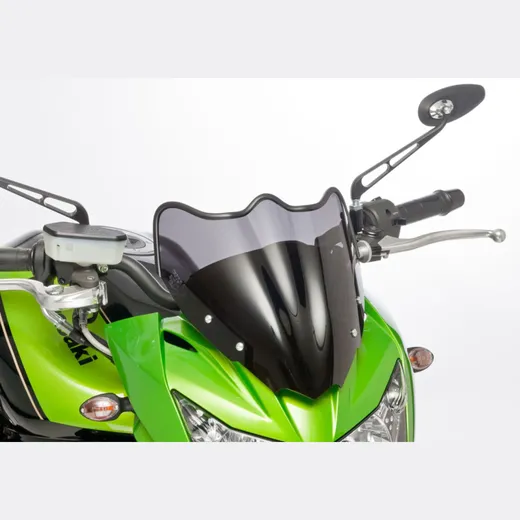 Naked bike screen for: KAWASAKI Z750R ZR750N