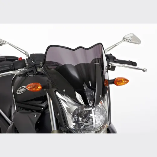 Naked bike screen for: YAMAHA XJ6 RJ19/RJ22 6531291