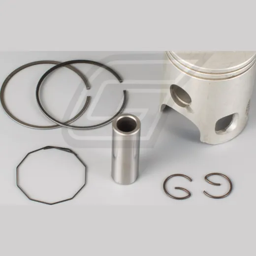 piston kit for RD250LC (55.00mm)