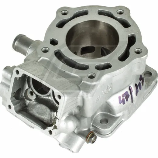 cylinder newly coated for: Aprilia RS/ Suzuki RGV 250 in exchange