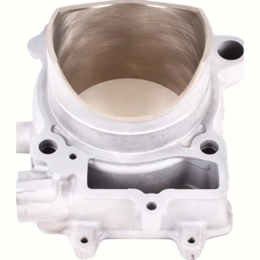 Cylinder for: Kawasaki KX-F 450 new coated in exchange (marked 0109) diameter 96,00mm