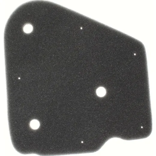 Air filter 100600030