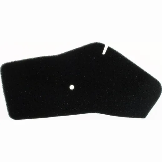 Air filter 100600230