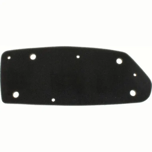 Air filter 100600290