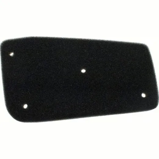 Air filter 100600360