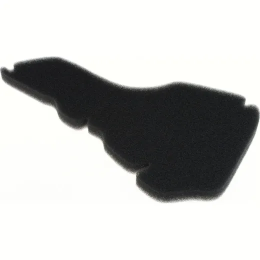 Air filter 100600420