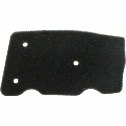 Air filter 100600830