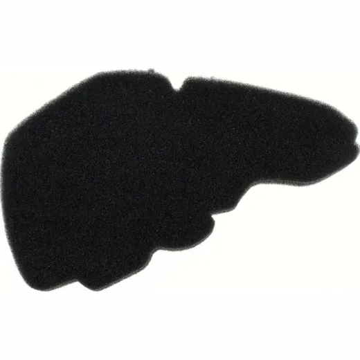 Air filter 100600980