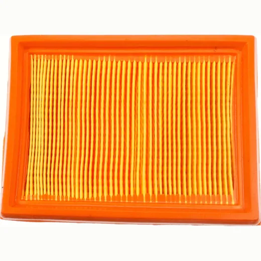 Air filter 100601150