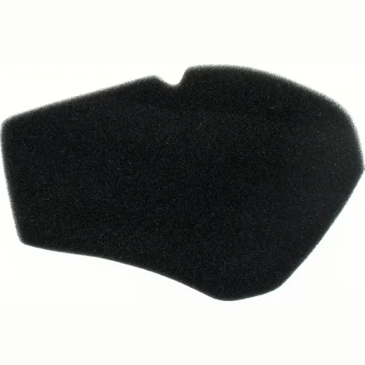 Air filter 100601230