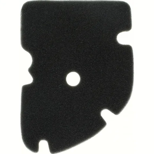 Air filter 100602110
