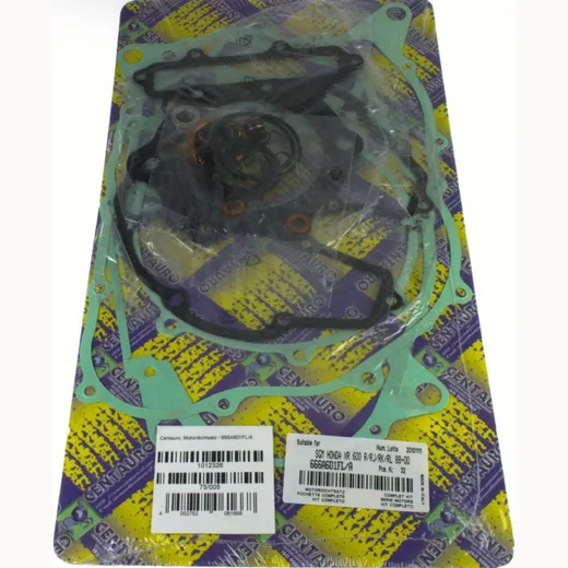 motor gasket set / 666A601FL/A