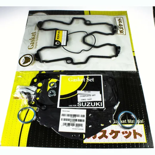Motor gasket