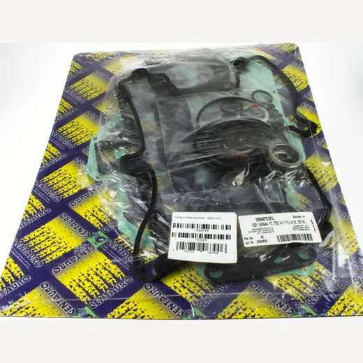 motor gasket set / 990A753FL