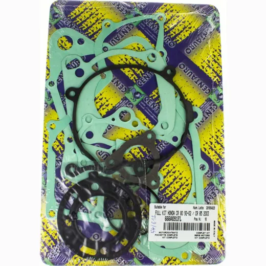 motor gasket set / 666A091FL