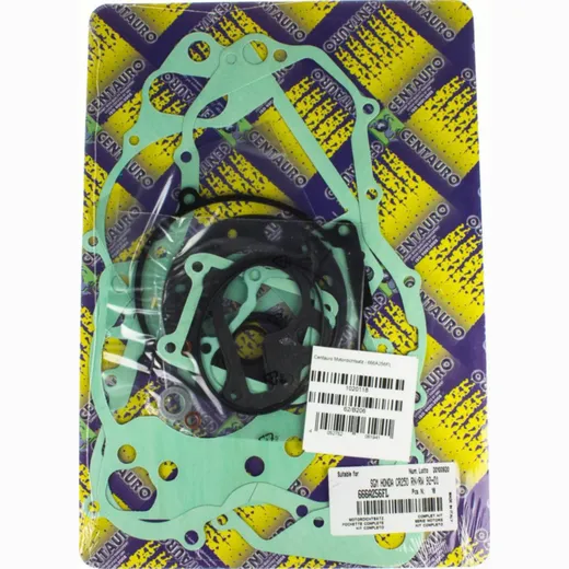 motor gasket set / 666A256FL