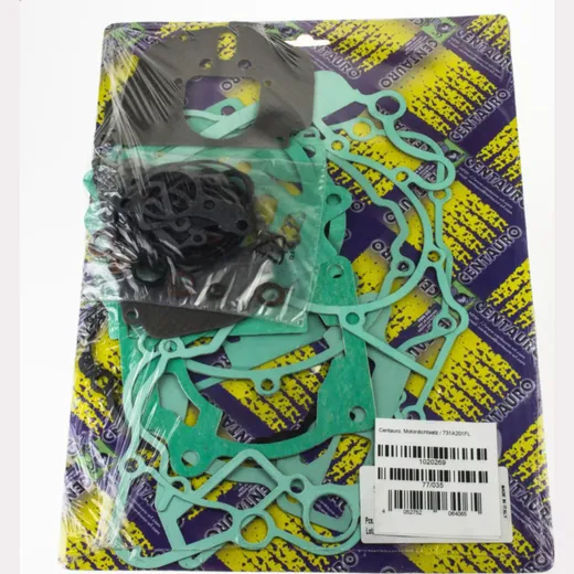 Motor gasket kit / 731A201FL