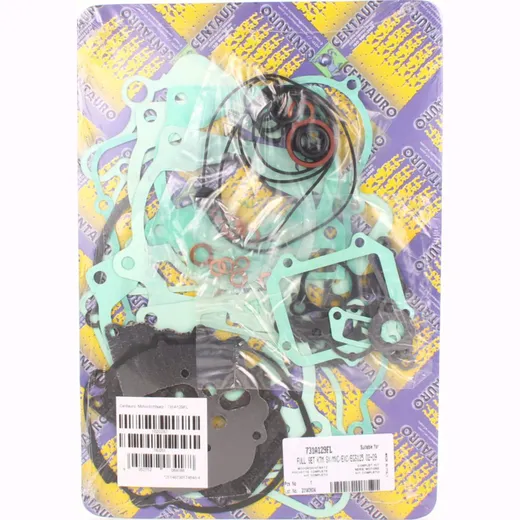 Motor gasket set / 731A129FL