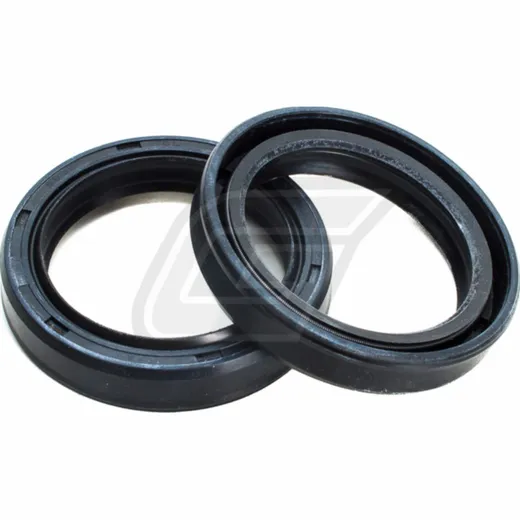 41.7x55x10/10.5 111A067FK fork shaft seal set