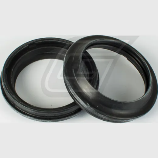 48x61,2x6/15 dust seal set 111A127FK