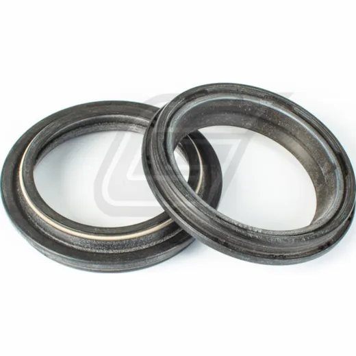 46x58,5x11,6 dust seal set 111A117FK