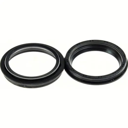 45,5x62x7,5/10 dust seal set 111A205FK