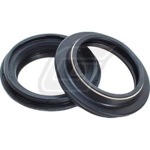 41x53,5x4,8/14 Y dust seal set 111A101FK