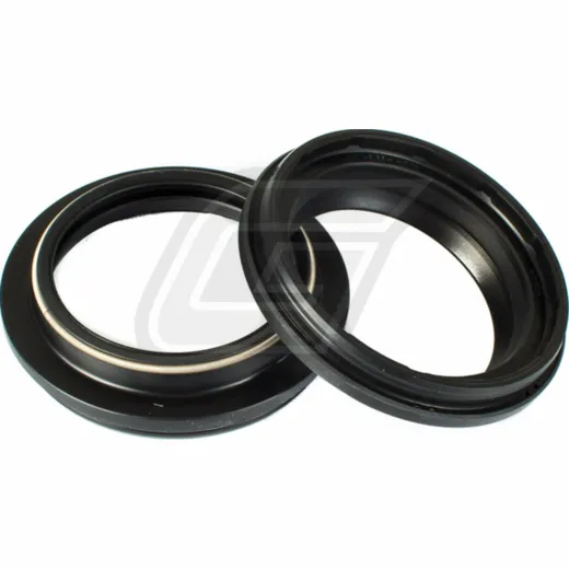 43x55,5x4,7/14 dust seal set 111A099FK