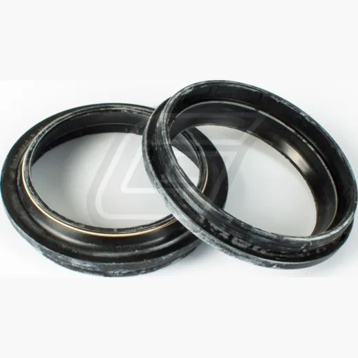 49x60,3x6/14 dust seal set 111A098FK