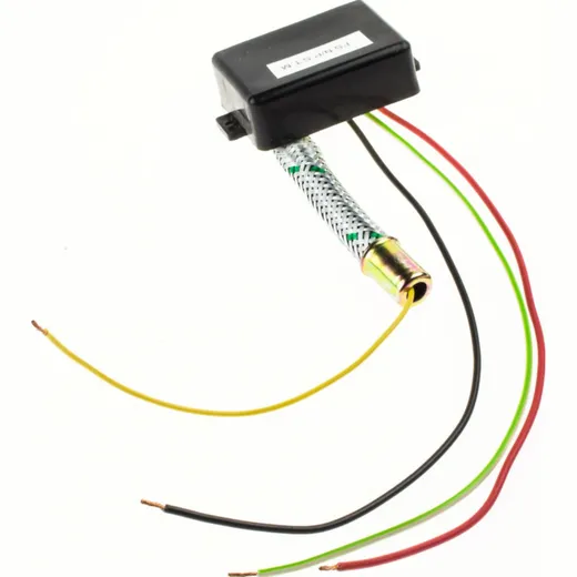 Limiter to 25 Km/h (eletronic) 1074520