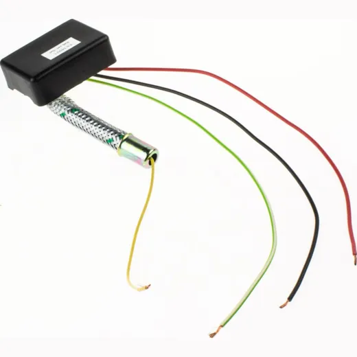 Limiter to 25 Km/h (eletronic) 1074550